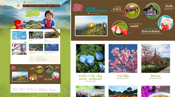 สถานีเกษตรหลวงอ่างขาง | Webdesign เชียงใหม่ ออกแบบเว็บไซต์